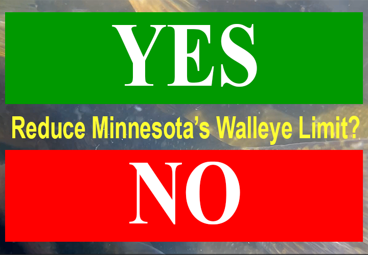 image links to MN DNR Walleye Bag Limit Reduction Survey
